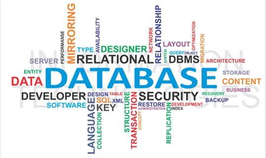 Database Web Design