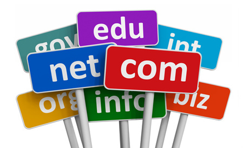 Domain Name Registration