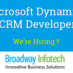 Microsoft Dynamics CRM Developer C# .Net